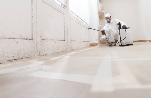 24/7 Emergency Commercial Mold Remediation experts in Hillsborough, NC